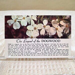 Vintage The Legend of the Dogwood Flower Religion Religious Story Postcard UNP